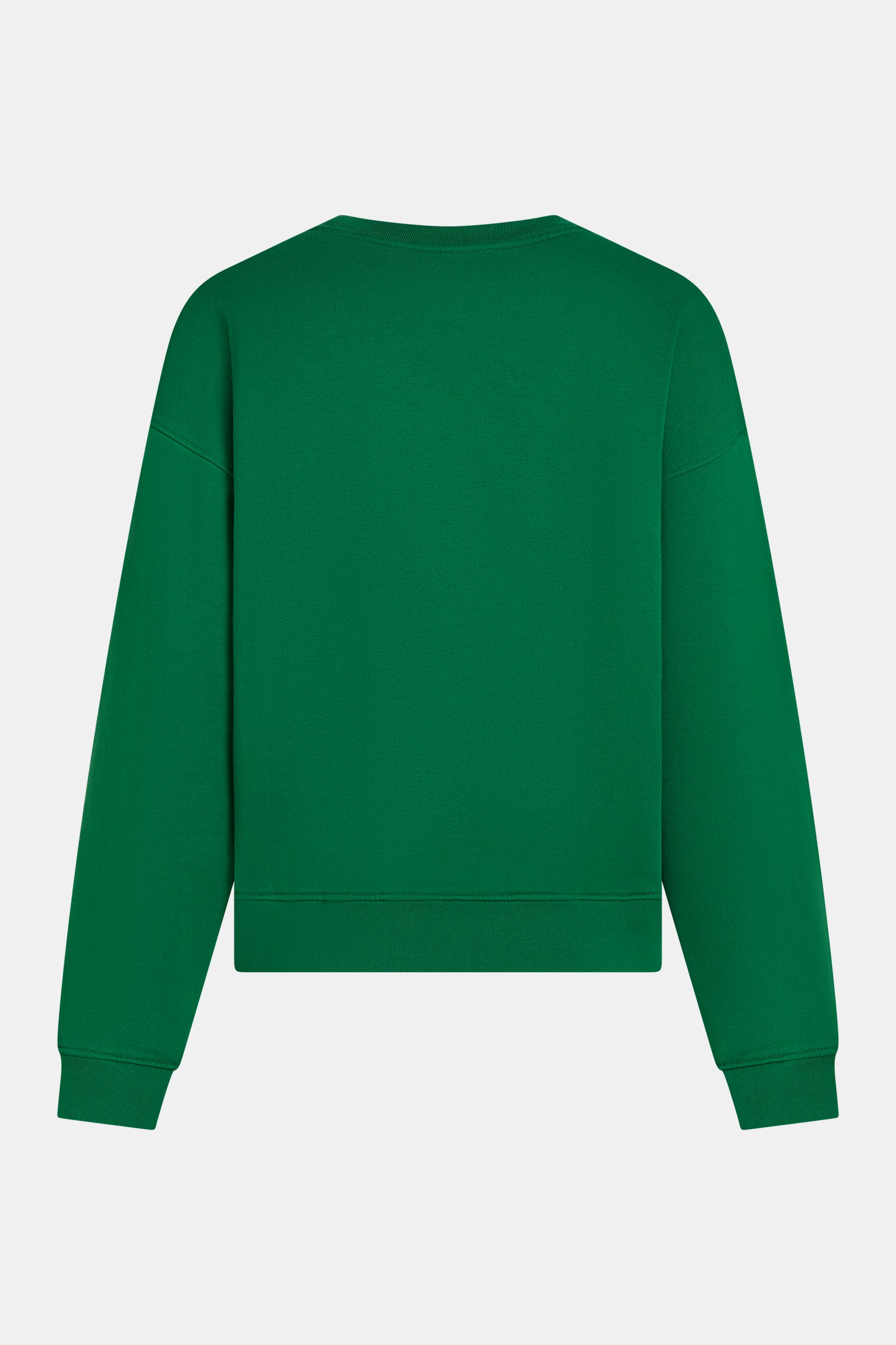 SWEATER (W26F1927) ALPINE
