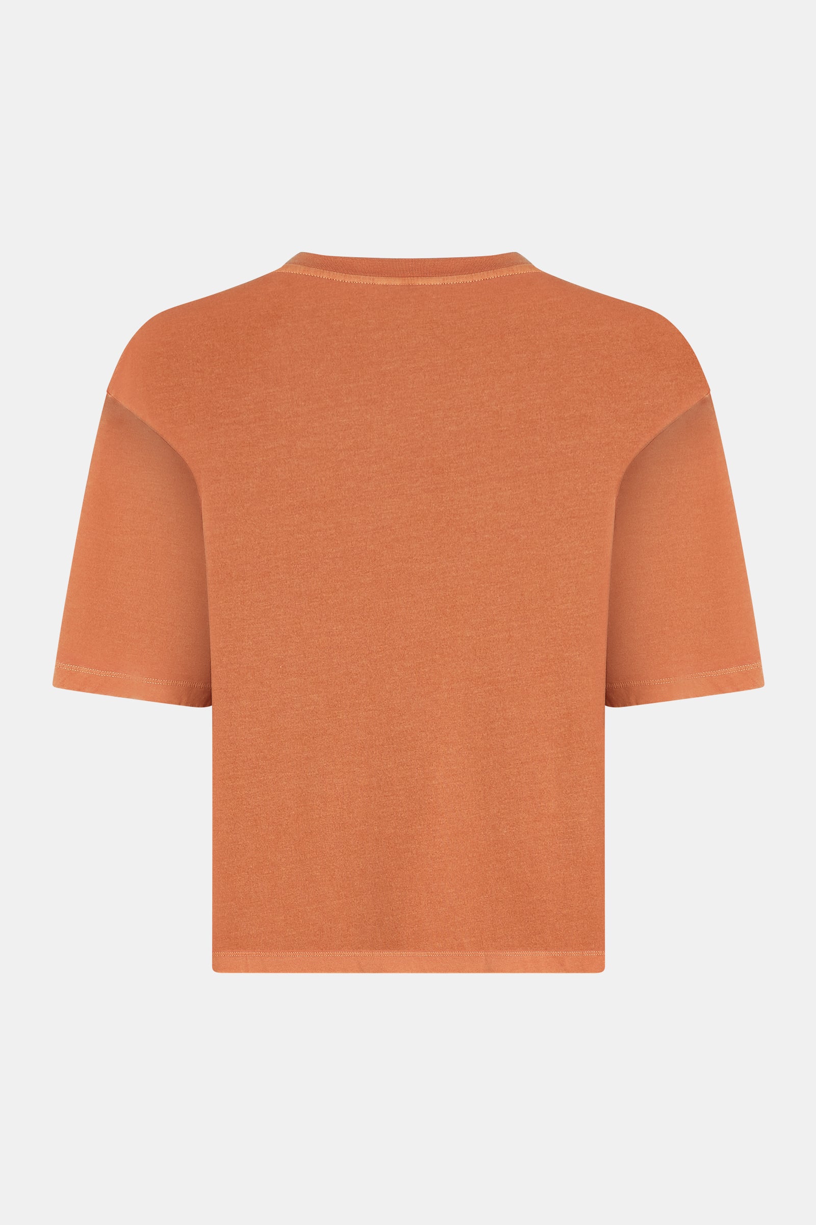 T-SHIRT (S26F1889LTD) PICANTE