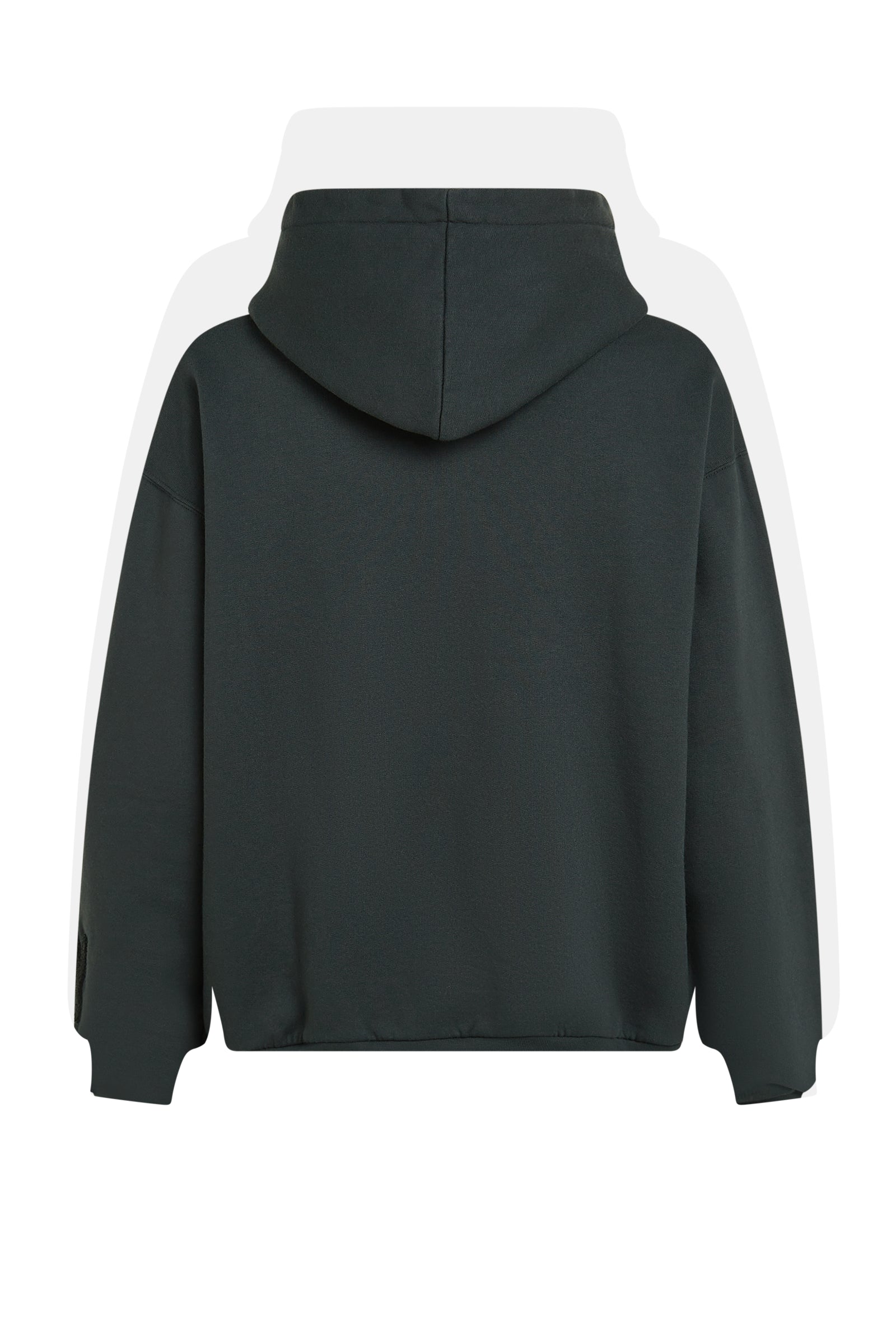 HOODIE PRINT (W25F1767LTD) ANTRA