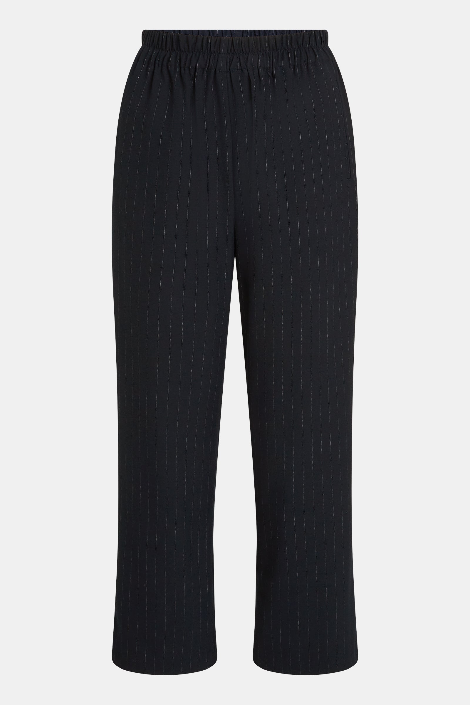TROUSERS (W26N1756) NAVY STRIPE