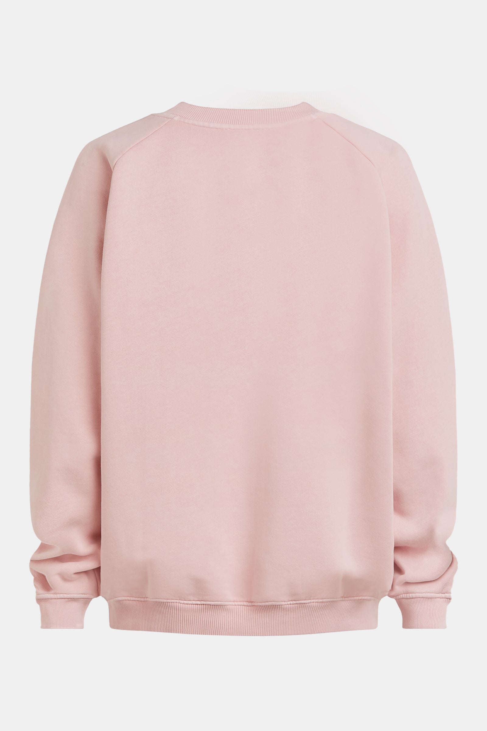 SWEATER (W26T1309) POWDER